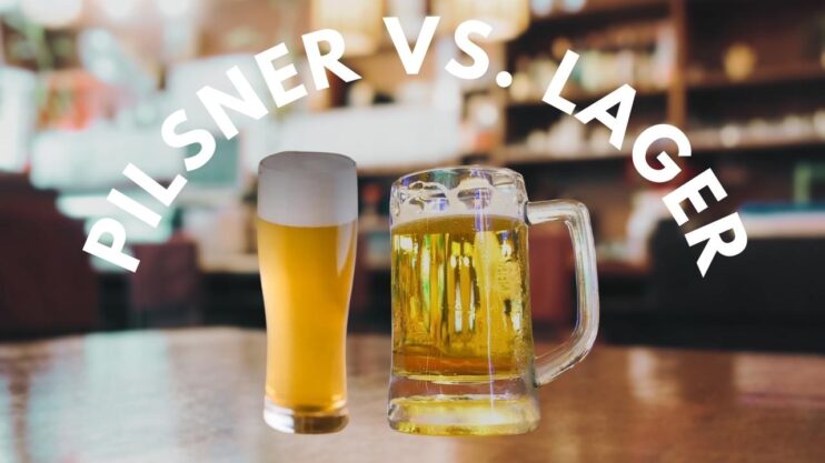 Pilsner vs. Lager Difference Between the Two Beers - A 2024 Comparison